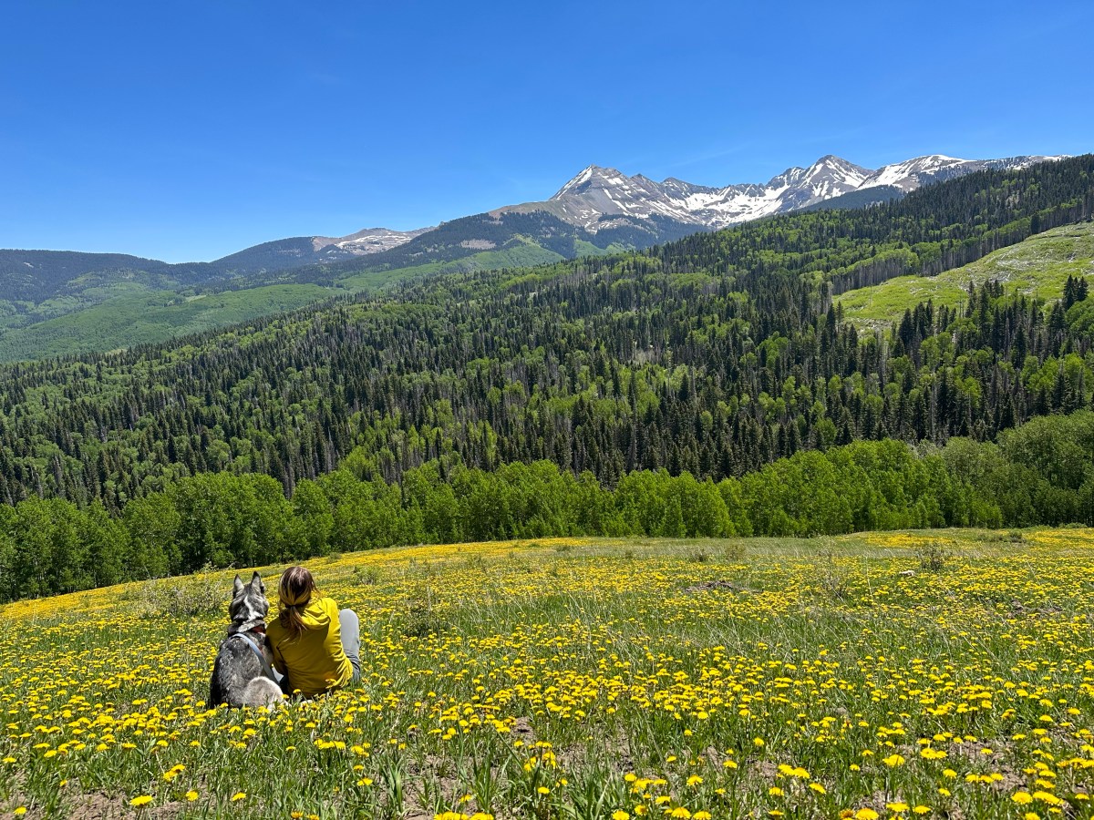 A Poem: My Mind is Stuck in Summer